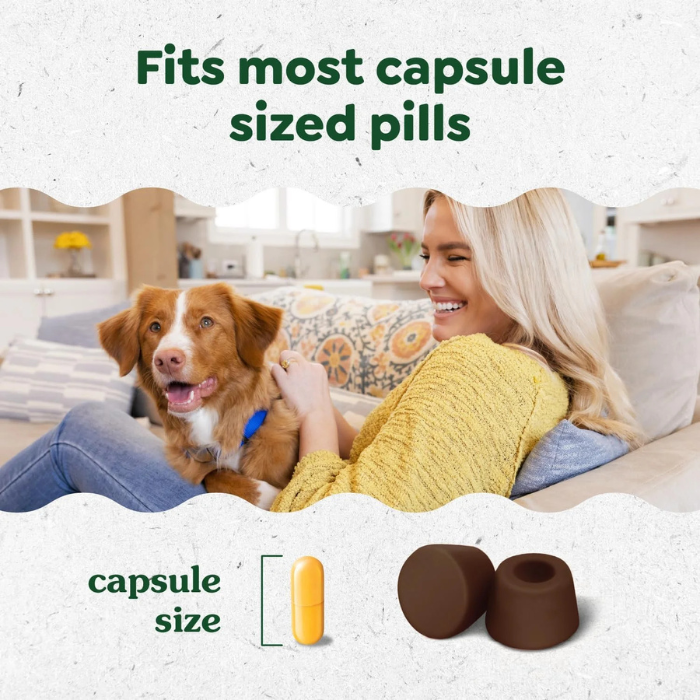 Greenies Pill Pockets for Dogs Large Size, Soft Dog Treats, Hickory Smoke Flavor, 15.8 oz. Pouch (60 Treats)