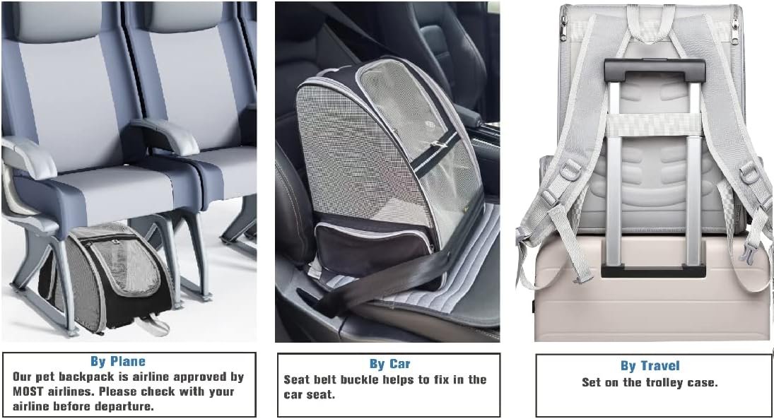 Description for Texsens Innovative Traveler Bubble Backpack Pet Carriers for Cats and Dogs (Black)