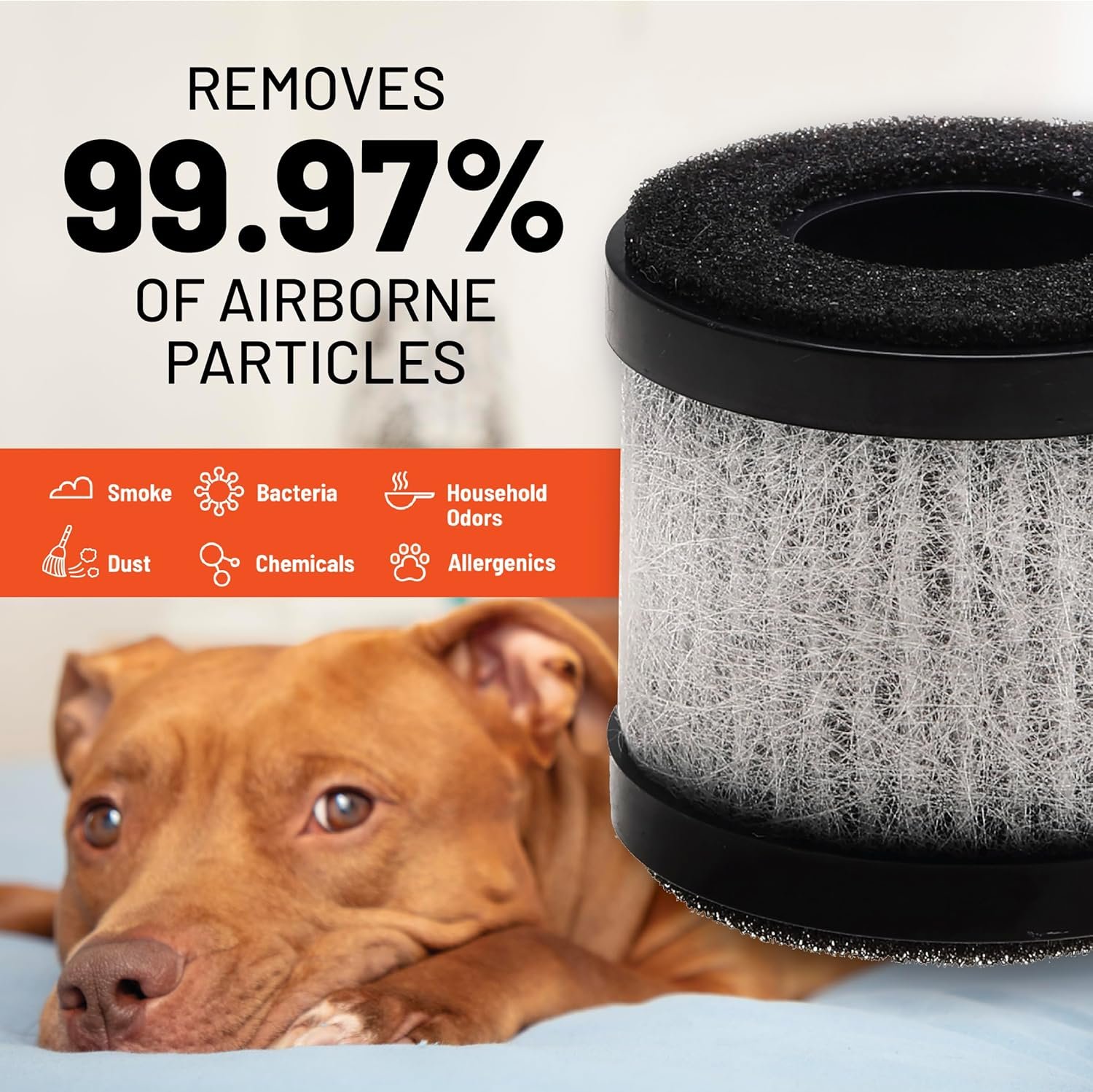 Description for FRAM H13 HEPA Filtration Air Purifier Replacement Filter for Model CAP30100 & CAP30200 | For Home, Car, Outdoor & Sport Use | Cleans Air of Smoke, Dust & Other Contaminants | Provides 500 Hours of Use